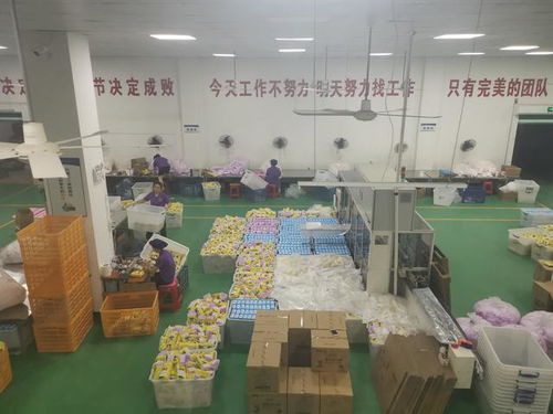 探访福建泉州卫生产业 高端转型与冒牌产品并存的困境