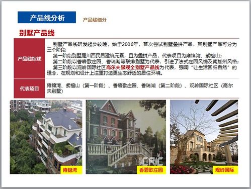 房地产公司系列产品线研究 构建多元化与差异化的战略布局